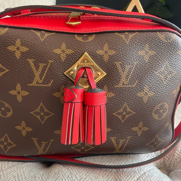 Price is FIrM*Louis Vuitton Saintonge - Picture 12 of 16